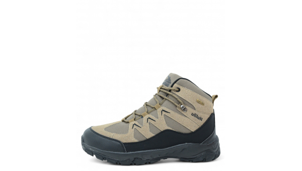 RT_25-2502-6-2388823