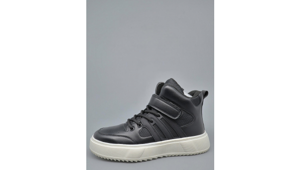 RT_a3368-2-1-1989212