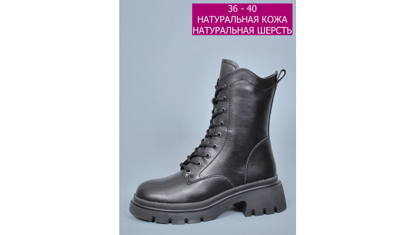 RT_bt998-1tp-1751293