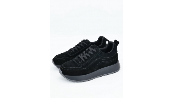 RT_lq179-1dm-2380499